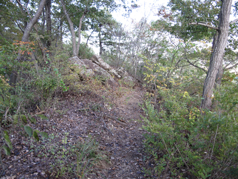 20161104hike (224)